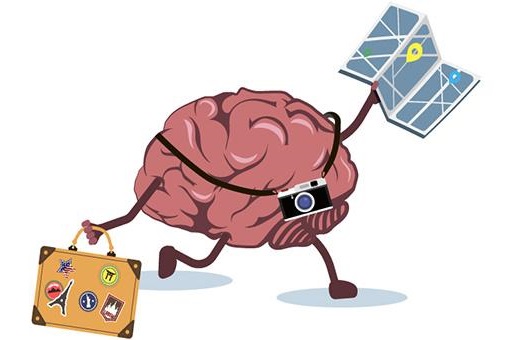 Traveling brain